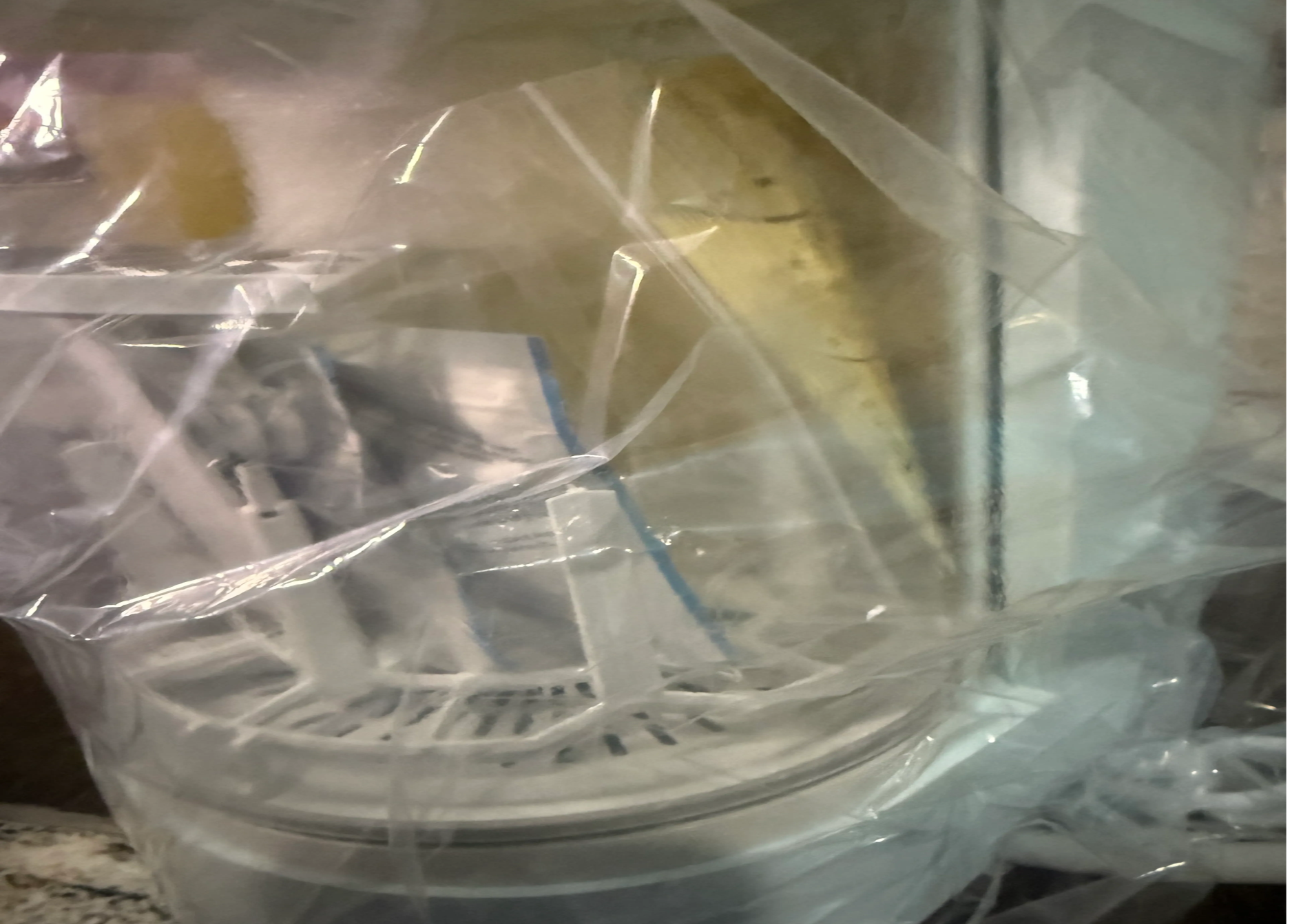 Grownsy DeepClean Bottle Washer Pro