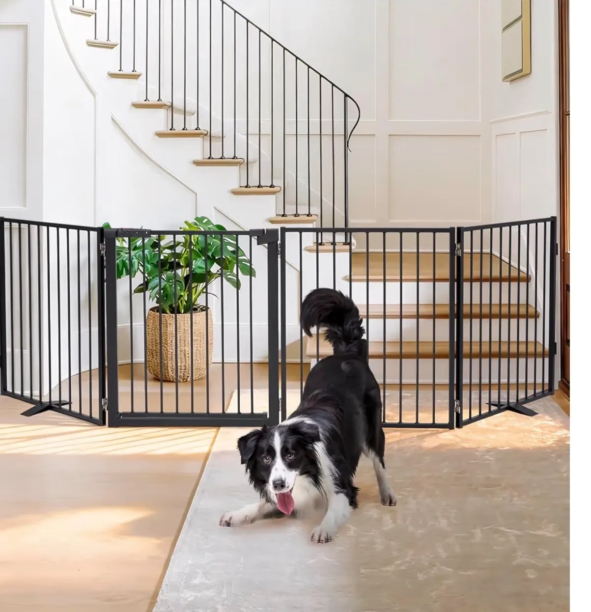 Extra Wide Free-Standing Gate