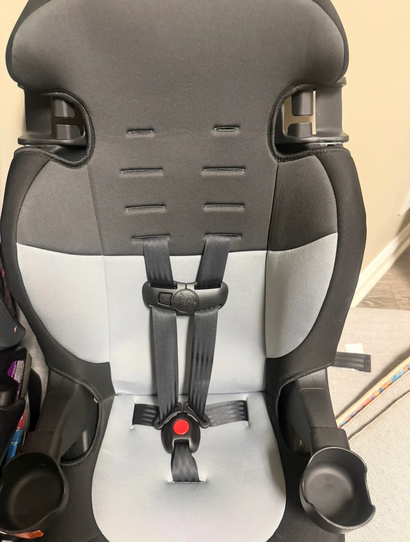 Safety 1st Grand Harness Booster Car Seat, Sparrow
