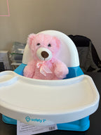 Safety 1st Swing Tray Booster Seat