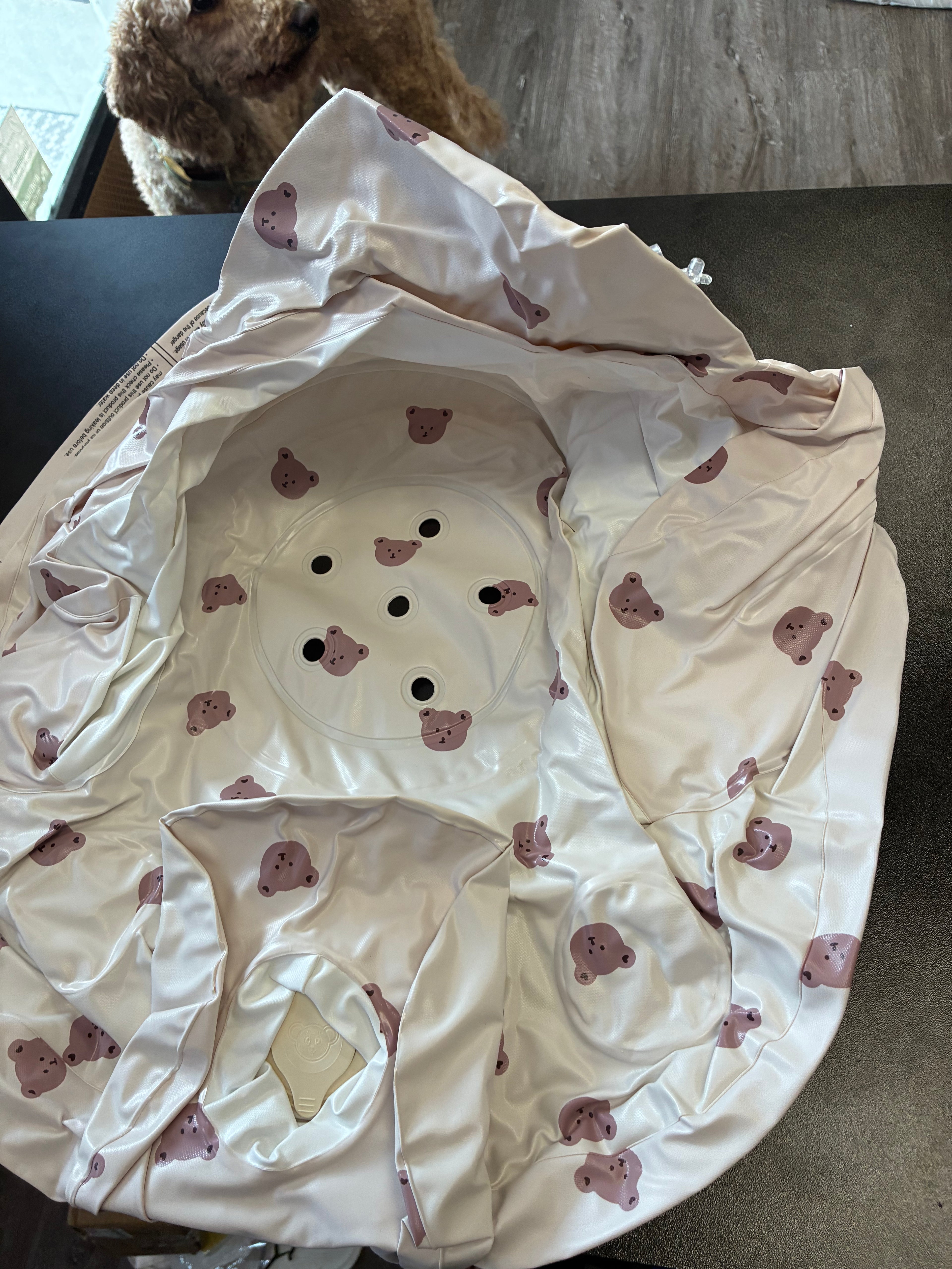 Inflatable Baby Seat with Built-in Pump