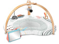 Skip Hop Baby Play Gym