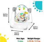 Bright Stars Playful Paradise Swing