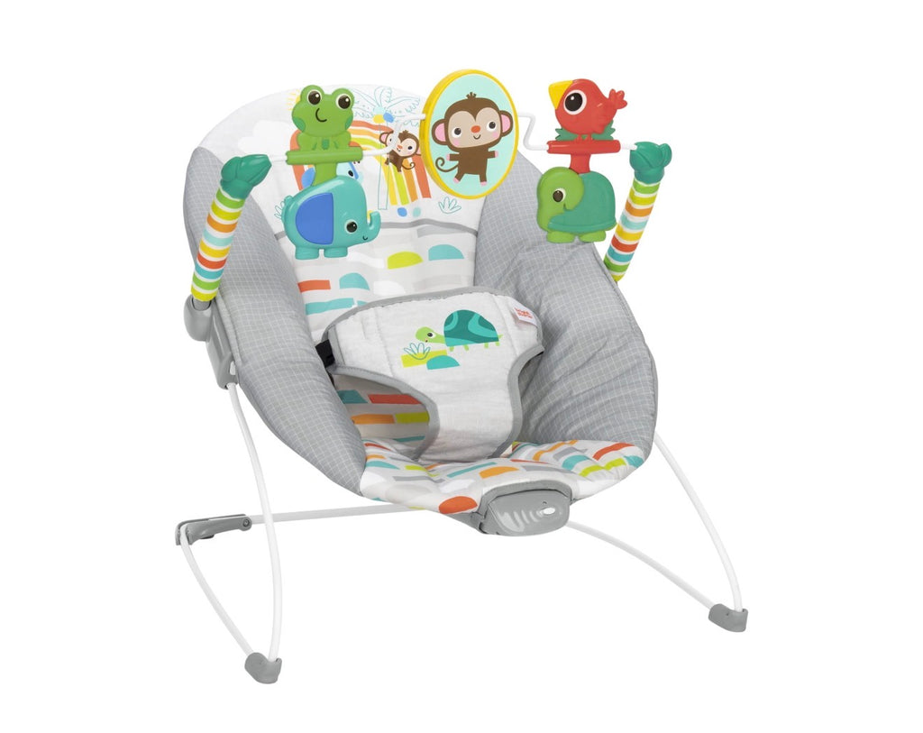 Bright Stars Playful Paradise Baby Bouncer