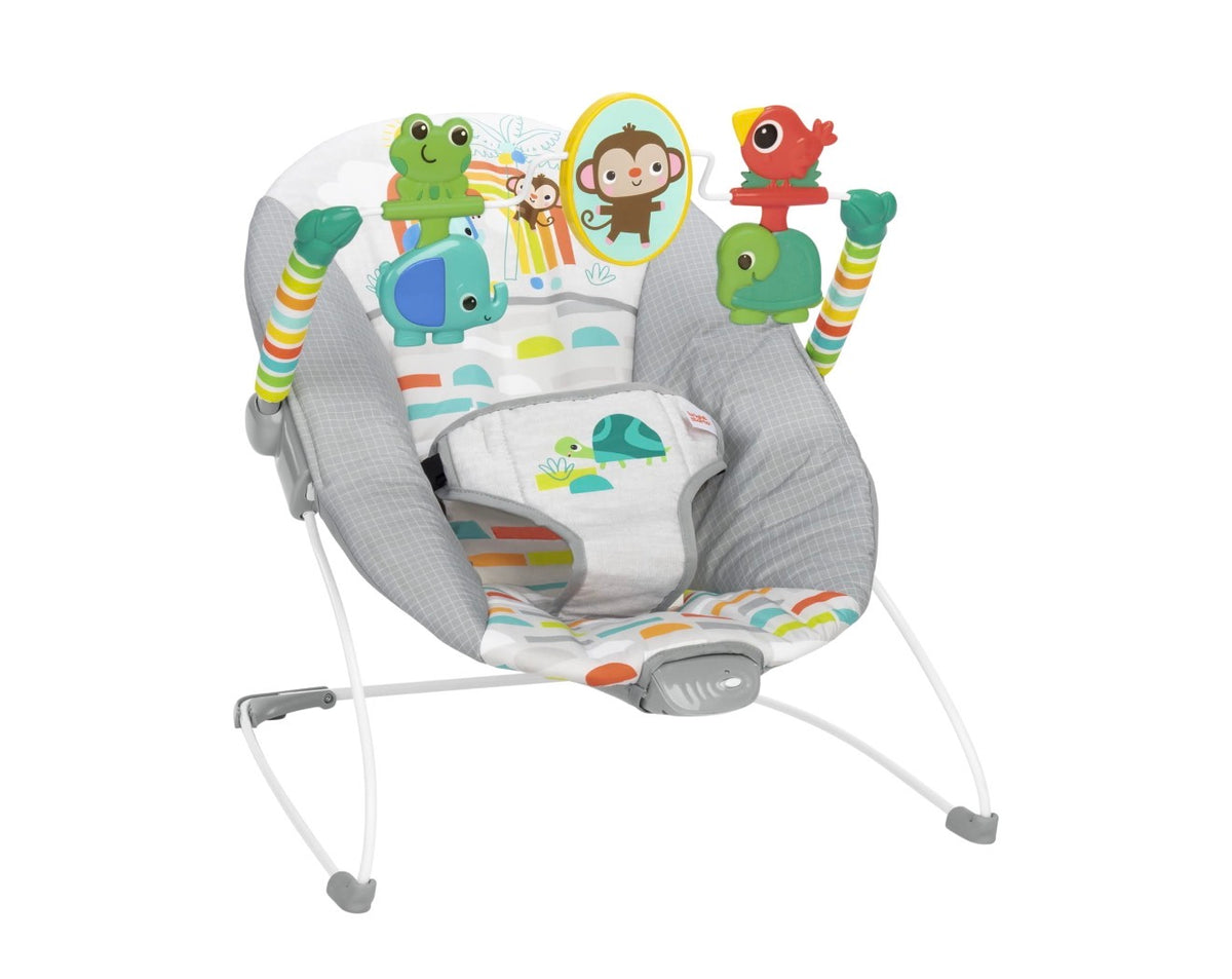 Bright Stars Playful Paradise Baby Bouncer