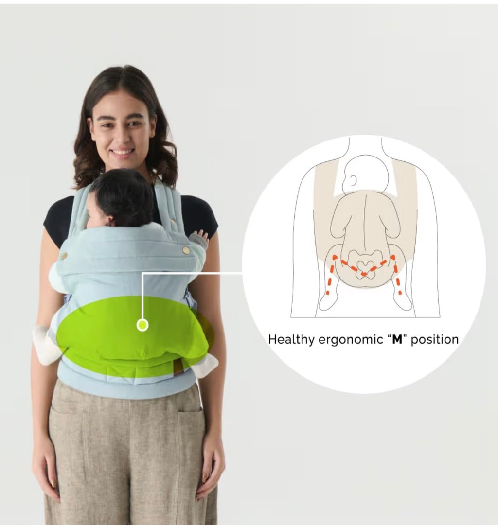 Nest Blanche Carrier, Denim