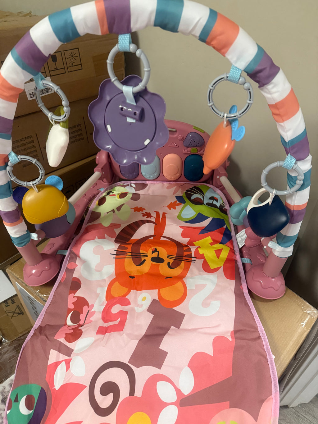 Baby Gym Play Mat, Pink