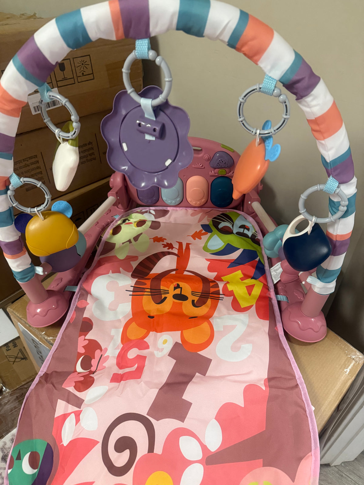Baby Gym Play Mat, Pink