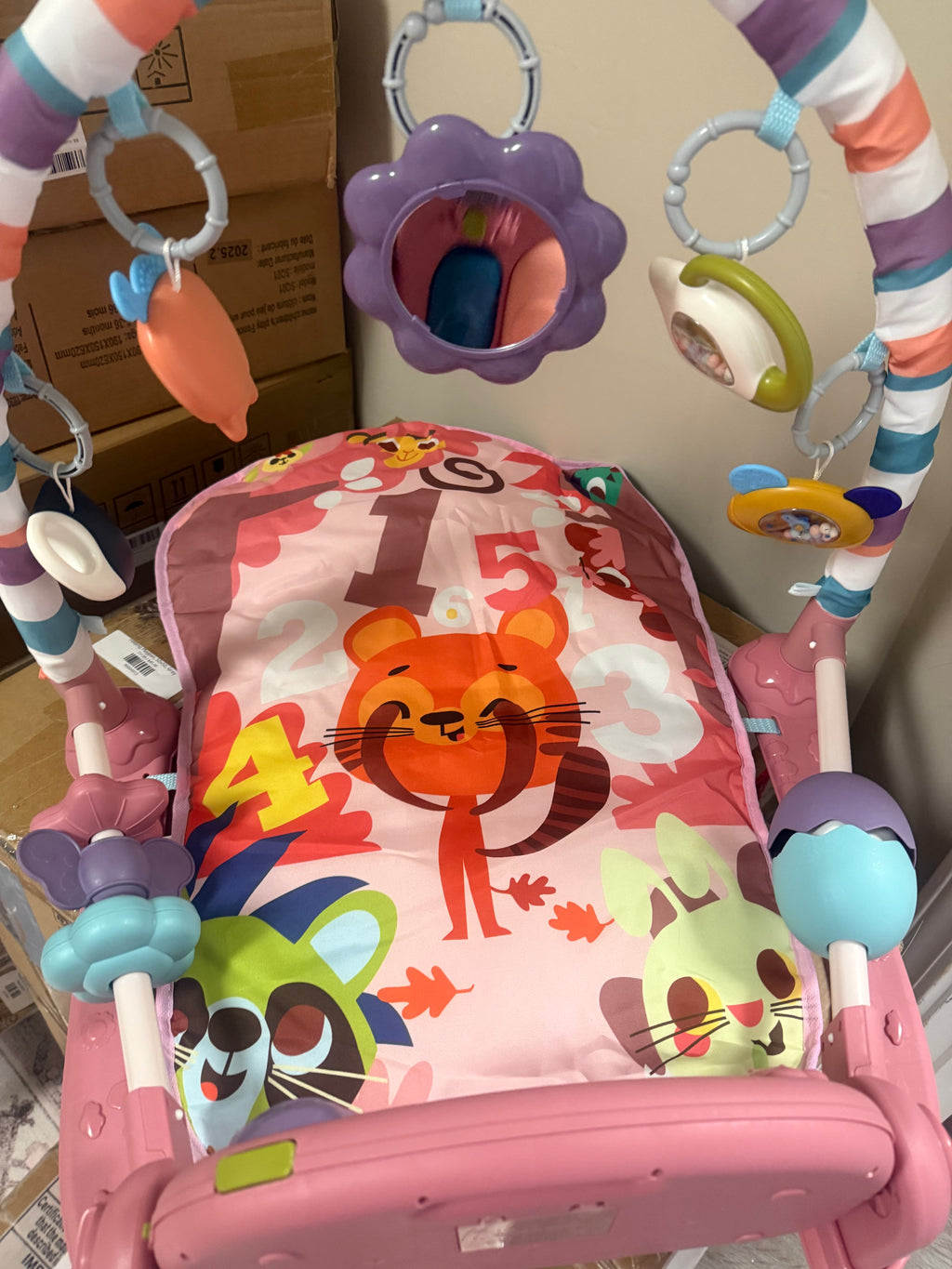 Baby Gym Play Mat, Pink
